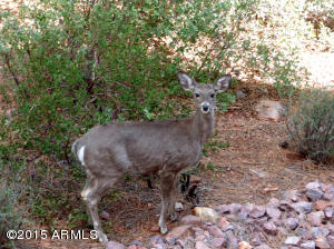 4557 N Serenity Cir, Pine, AZ 85544 photo 2