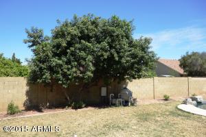 4432 E Douglas Ave, Gilbert, AZ 85234 photo 33