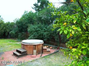 4535 E Willow Ave, Phoenix, AZ 85032 photo 8