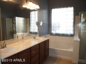 3857 E Marlene Dr, Gilbert, AZ 85296 photo 19