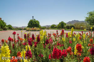 3520 E Lafayette Ave, Gilbert, AZ 85298 photo 42