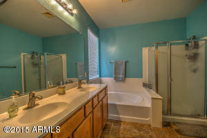 3111 E Country Shadows St, Gilbert, AZ 85298 photo 20