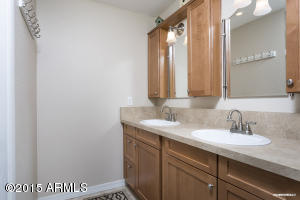 102 E Waltann Ln, Phoenix, AZ 85022 photo 14