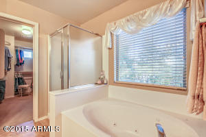 3339 Elgin St, Gilbert, AZ 85295 photo 29