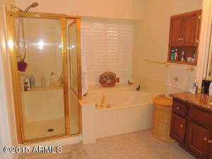 3640 E Park Ave, Phoenix, AZ 85044 photo 21