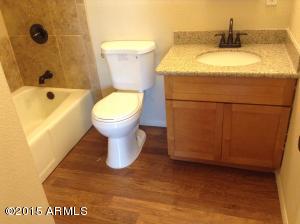 727 E Millett Ave, Mesa, AZ 85204 photo 12