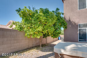 1905 E Saratoga St, Gilbert, AZ 85296 photo 53