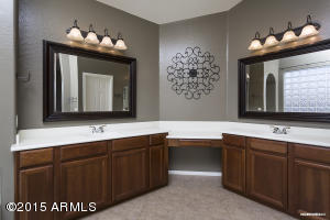 10209 E Lakeview Ave, Mesa, AZ 85209 photo 35
