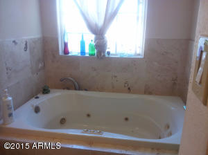 3925 E Coronado Rd, Phoenix, AZ 85008 photo 11