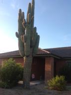 10036 E Fenimore Rd, Mesa, AZ 85207 photo 28