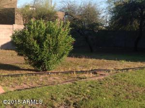 10036 E Fenimore Rd, Mesa, AZ 85207 photo 15