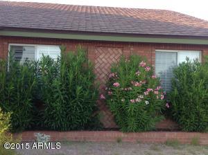 10036 E Fenimore Rd, Mesa, AZ 85207 photo 29