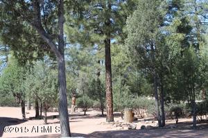 2801 E Pinegate Ct, Payson, AZ 85541 photo 38
