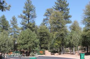 2801 E Pinegate Ct, Payson, AZ 85541 photo 41