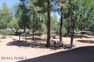 2801 E Pinegate Ct, Payson, AZ 85541 photo 40