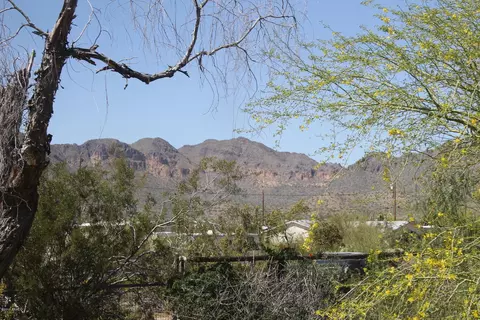 1092 W Whiteley St, Apache Junction, AZ 85120 photo 16