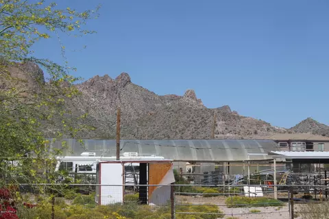 1092 W Whiteley St, Apache Junction, AZ 85120 photo 15