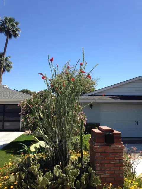8021 N 5th St, Phoenix, AZ 85020 photo 28