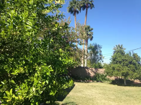 8021 N 5th St, Phoenix, AZ 85020 photo 16