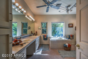 3409 E Downing St, Mesa, AZ 85213 photo 40