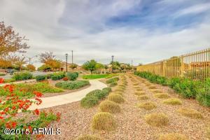 2956 E Shannon St, Gilbert, AZ 85295 photo 35
