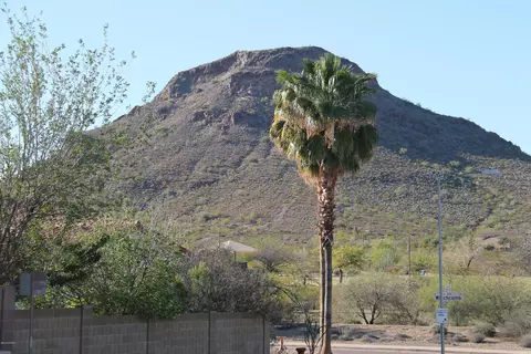 1934 E Crocus Dr, Phoenix, AZ 85022 photo 22