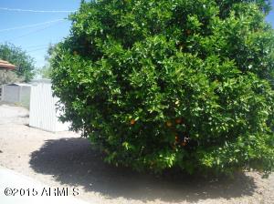 1373 S Delaware Dr, Apache Junction, AZ 85120 photo 6