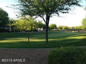 2703 E Bart St, Gilbert, AZ 85295 photo 45