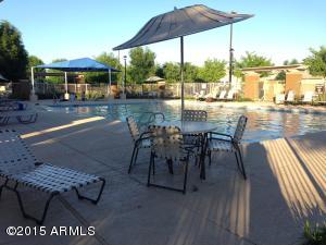 2703 E Bart St, Gilbert, AZ 85295 photo 43