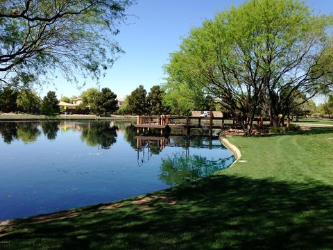 4191 E Marshall Ave, Gilbert, AZ 85297 photo 27