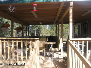 3362 Little Pine Dr, Overgaard, AZ 85933 photo 8