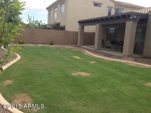 978 E Blue Spruce Ln, Gilbert, AZ 85298 photo 9
