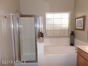 978 E Blue Spruce Ln, Gilbert, AZ 85298 photo 18