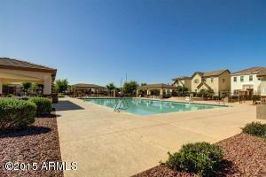 4647 E Olney Ave, Gilbert, AZ 85234 photo 23