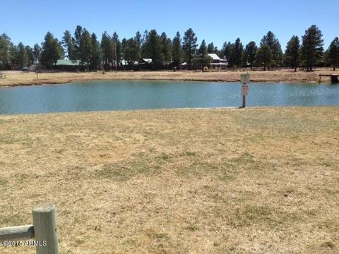 2330 N Buffalo Loop N, Overgaard, AZ 85933 photo 6