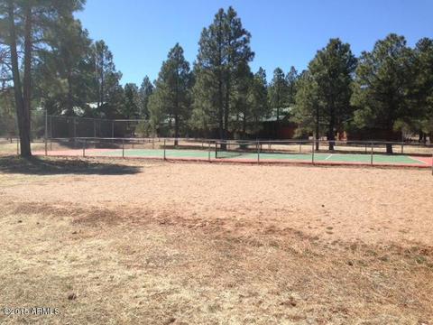 2330 N Buffalo Loop N, Overgaard, AZ 85933 photo 11