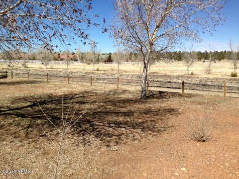 2330 N Buffalo Loop N, Overgaard, AZ 85933 photo 12