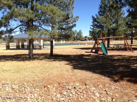 2330 N Buffalo Loop N, Overgaard, AZ 85933 photo 7