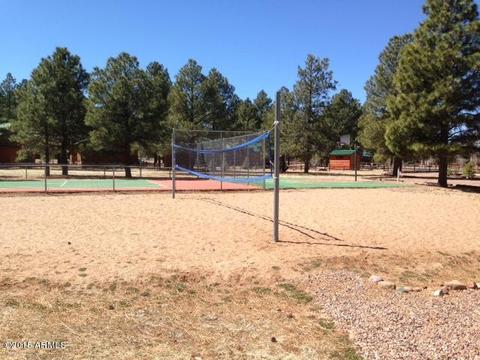 2330 N Buffalo Loop N, Overgaard, AZ 85933 photo 13