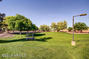 556 Elgin Ct, Gilbert, AZ 85295 photo 51