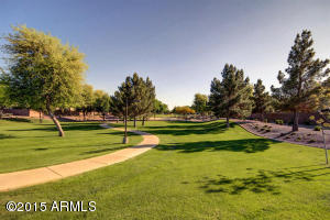 556 Elgin Ct, Gilbert, AZ 85295 photo 55