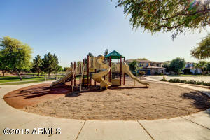 556 Elgin Ct, Gilbert, AZ 85295 photo 54