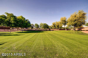 556 Elgin Ct, Gilbert, AZ 85295 photo 53