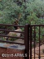 1913 E Starlight Pass, Payson, AZ 85541 photo 20