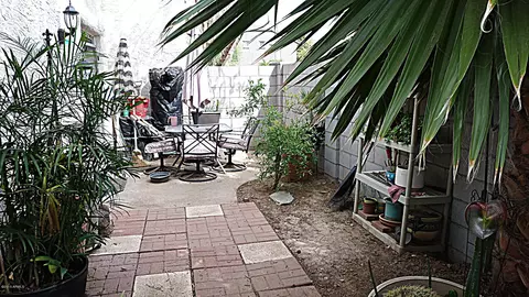 2517 E 5th St, Tempe, AZ 85288 photo 19