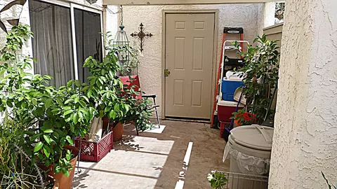 2517 E 5th St, Tempe, AZ 85288 photo 20