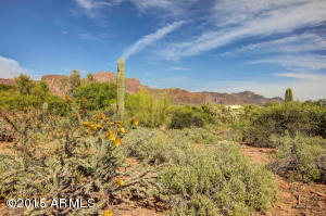 125 N Val Vista Rd, Apache Junction, AZ 85119 photo 39
