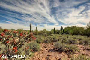 125 N Val Vista Rd, Apache Junction, AZ 85119 photo 37