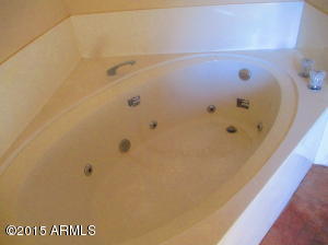 4355 N Cedar Dr, Apache Junction, AZ 85120 photo 15