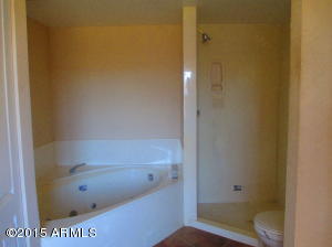 4355 N Cedar Dr, Apache Junction, AZ 85120 photo 14